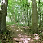 Hotel Eichenhof 3*