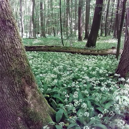 Eichenhof Szálloda 3*