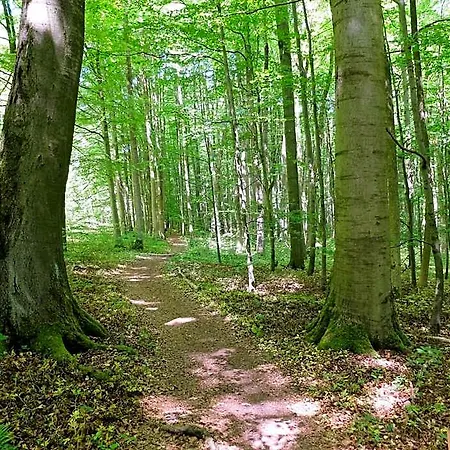 Eichenhof Szálloda 3*