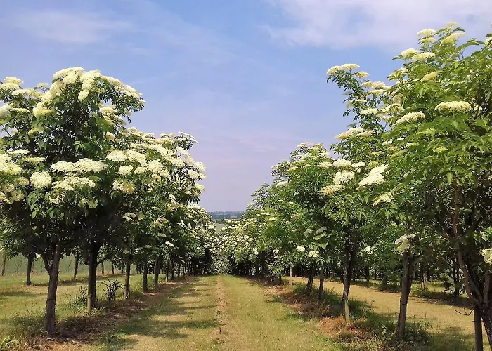 Eichenhof Hotell Bad Langensalza